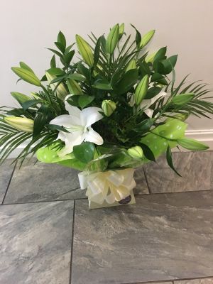 lilies for you