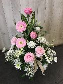 Petula perfectly pink