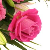 A raspberry pink tradition