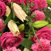 A raspberry pink tradition