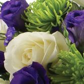 white roses with purple and limes
