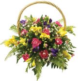 Freesia basket... love it!