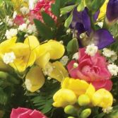 Freesia basket... love it!