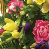 Freesia basket... love it!