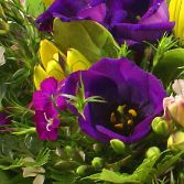 Perfect basket in purple..oh and a touch of yellows