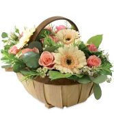 I love pastles trug basket