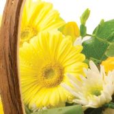 sunshine Meadow Trug