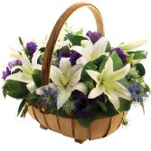 lily lovers trug
