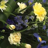 Blue and yellow casket topper